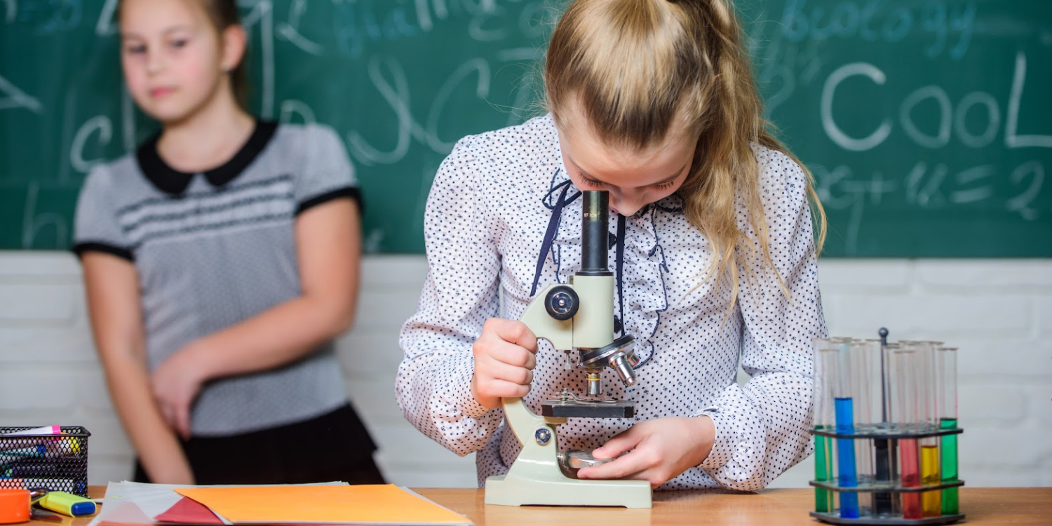 Летняя школа биология. Урок биологии в школе фото. Новая школа биология. Lessons in Chemistry.